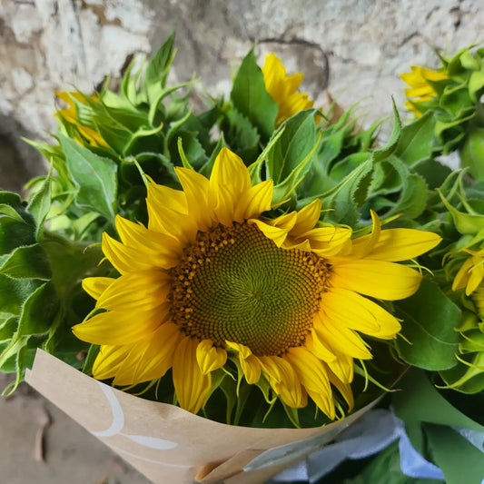 Sunflower Posy - Small